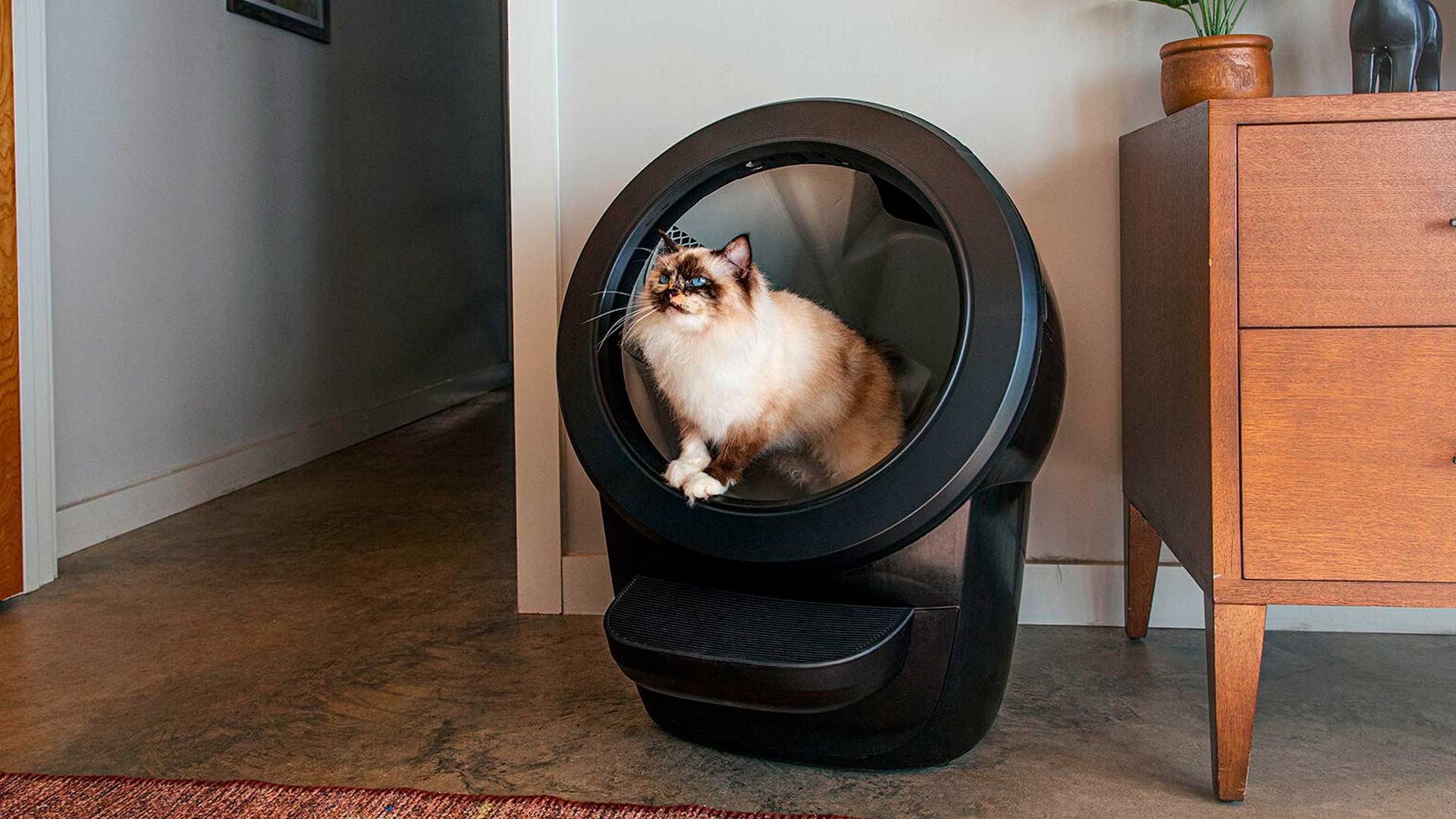 Litter-Robot 4: A Revolução na Limpeza Automática para Gatos