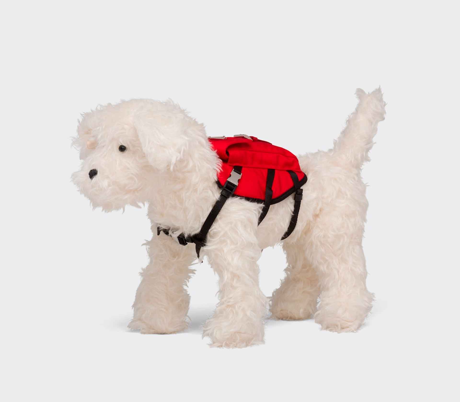 Coleira para Pet de Pequeno Porte - XS - Rosa
