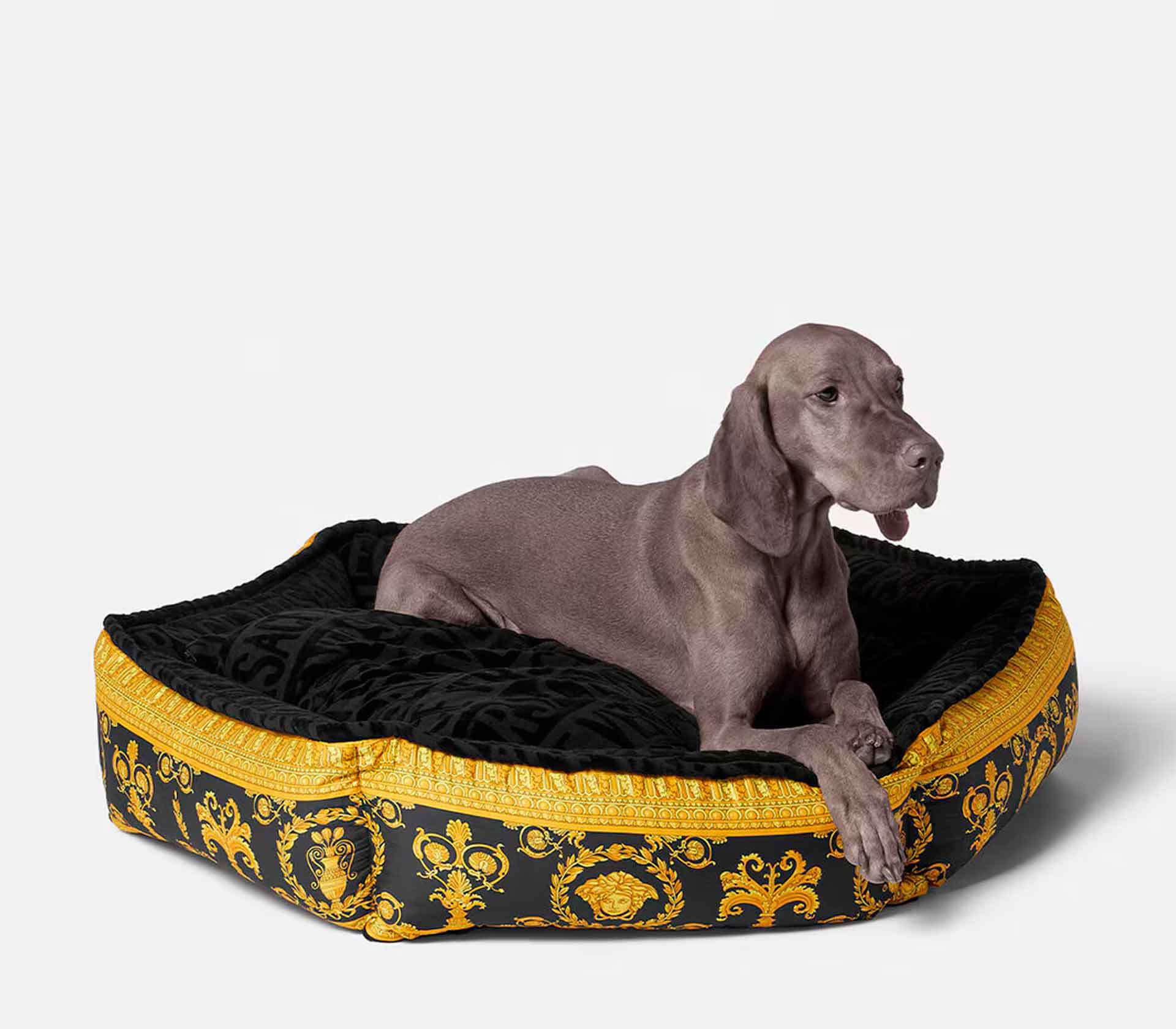 Cama para Pet - I Love Baroque G Preto