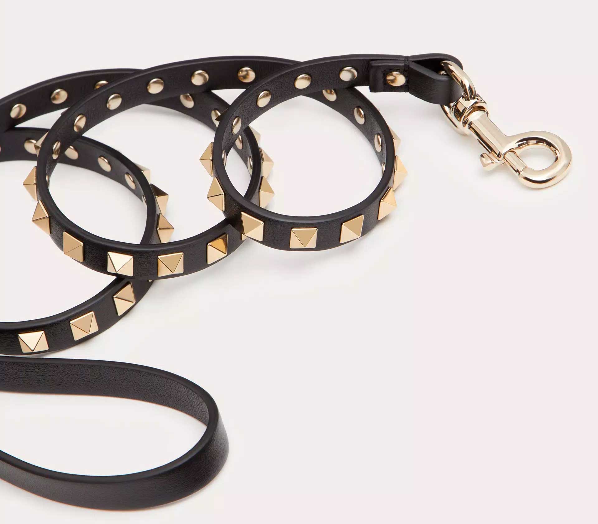 Coleira para Pet - Tradicional Pequena
