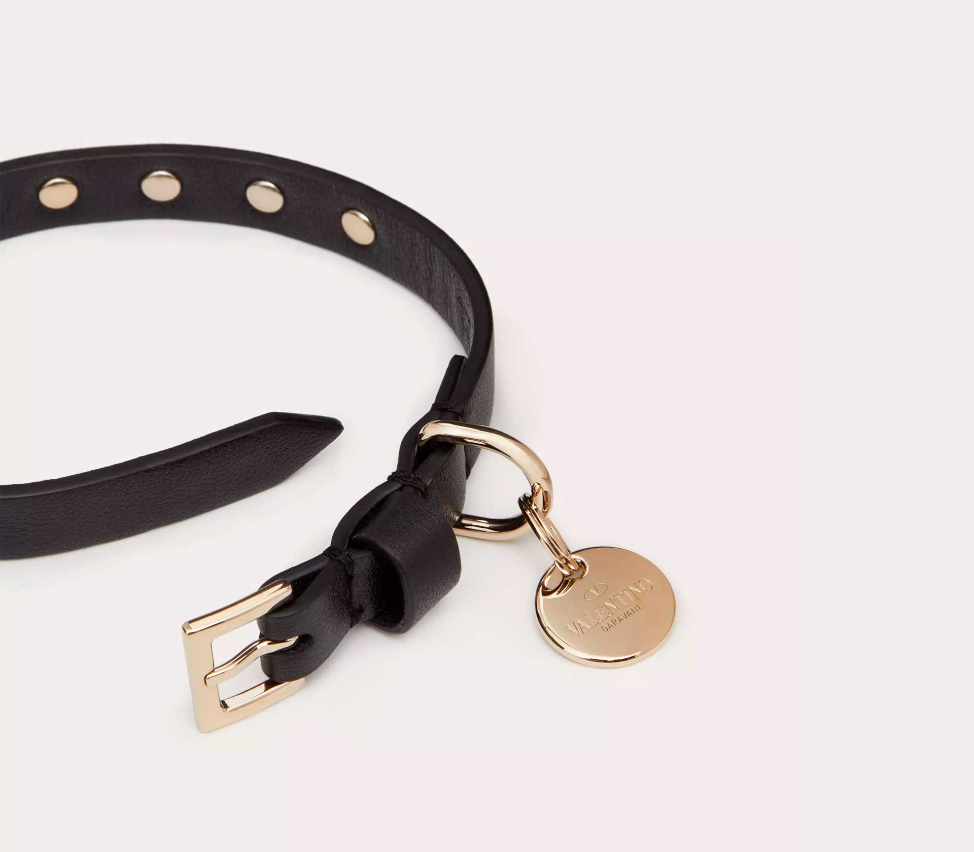 Coleira para Pet de Porte - L-XL - Web Azul