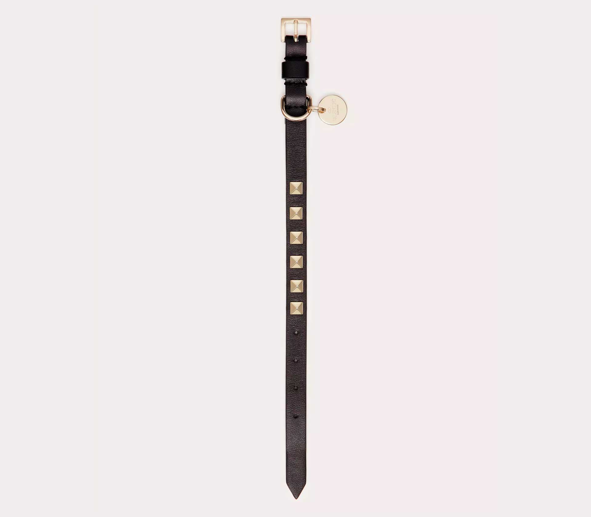 Coleira para Pet de Porte - L-XL - Web Azul
