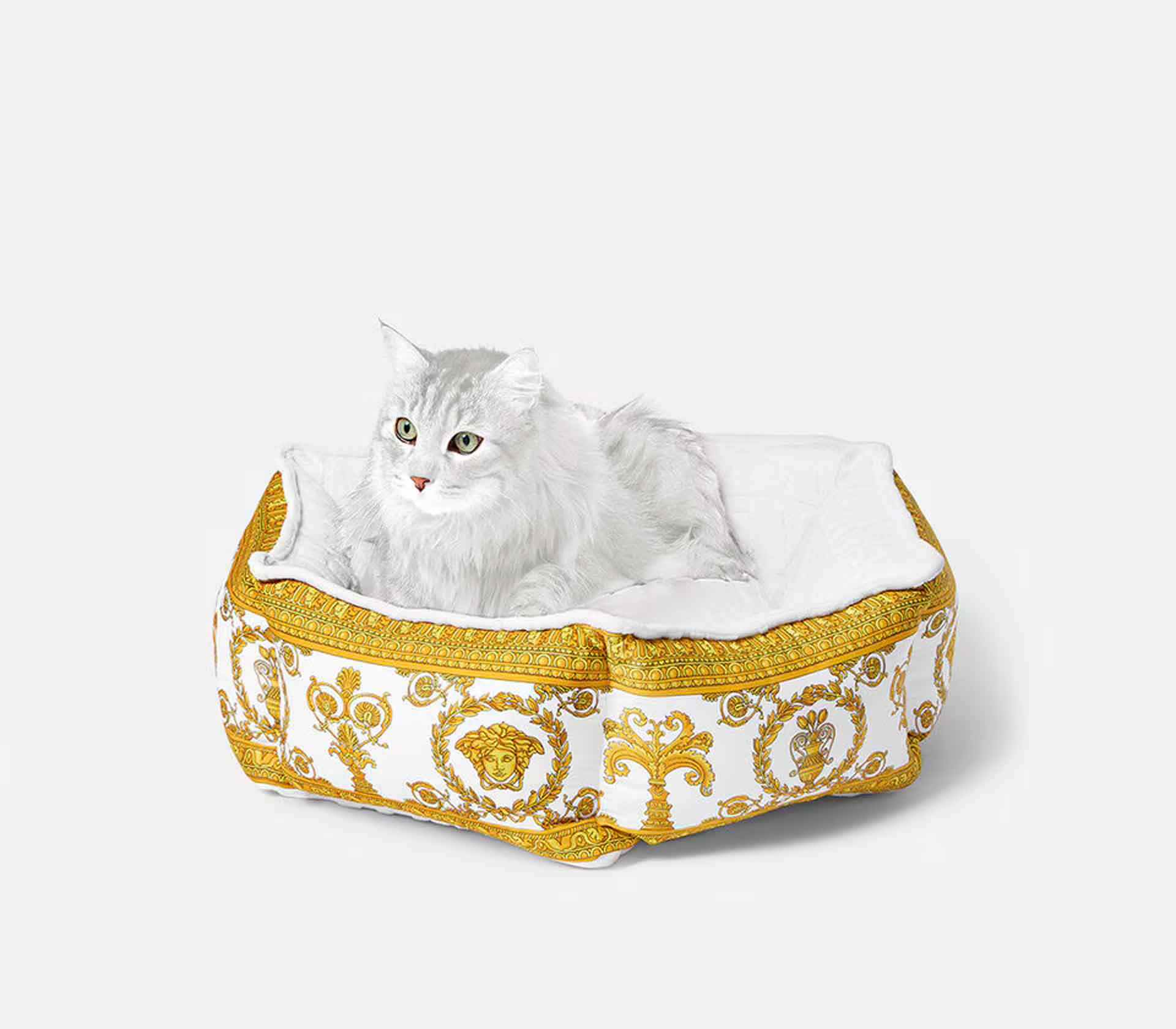 Cama para Pet - I Love Baroque P Preto