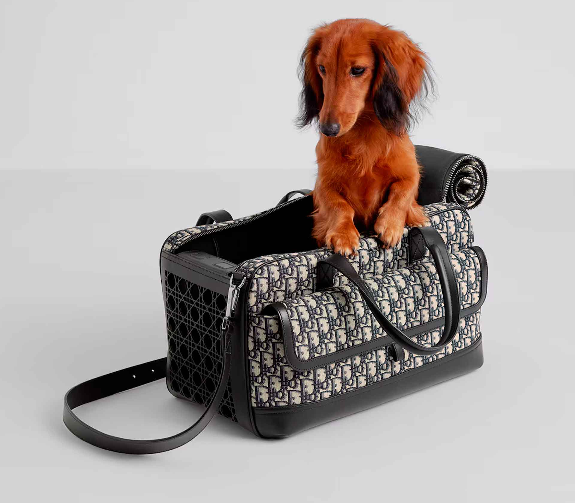 Bolsa de Passeio Acolchoada para Cachorro