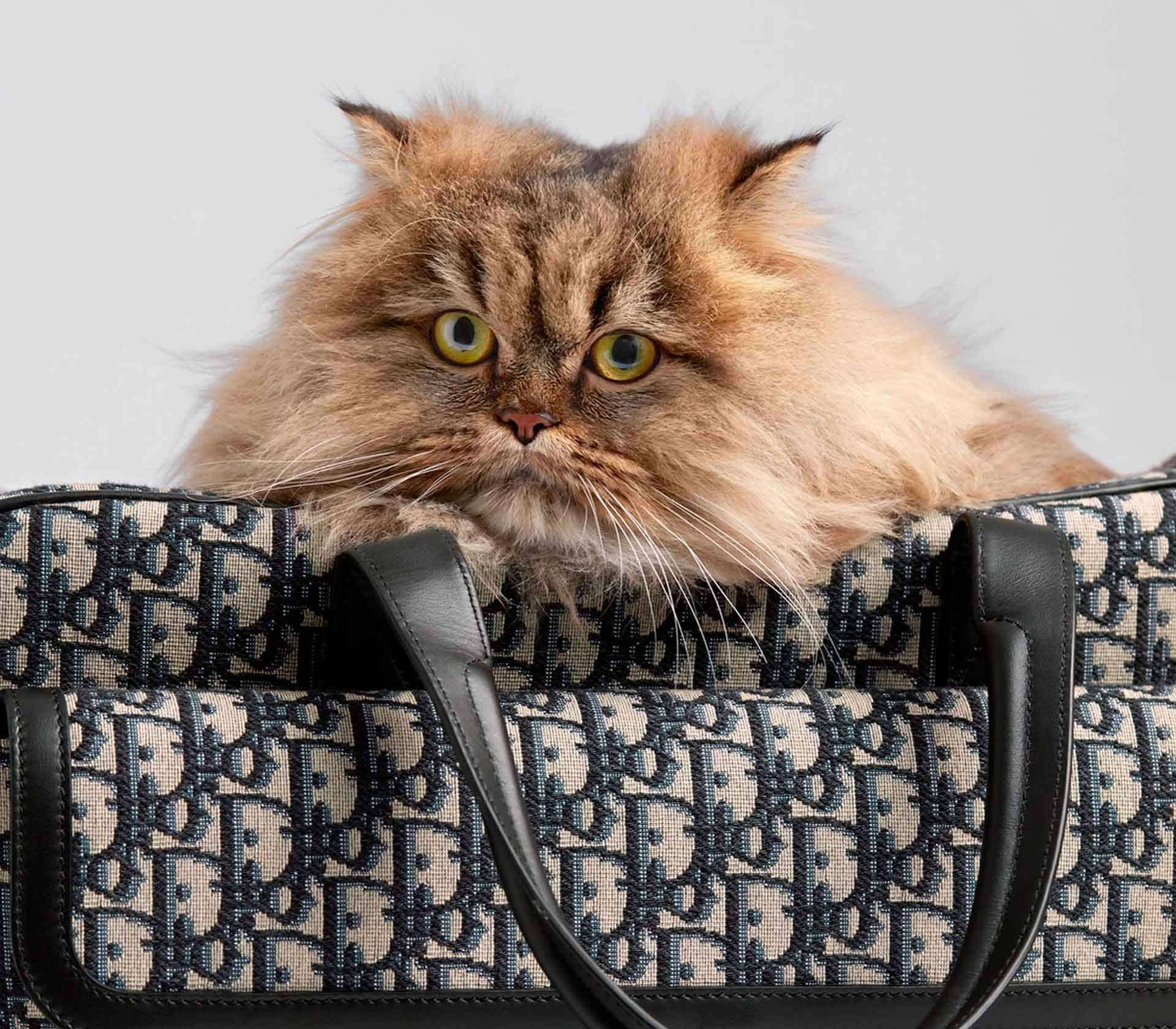Bolsa de Passeio Comfy - Preto