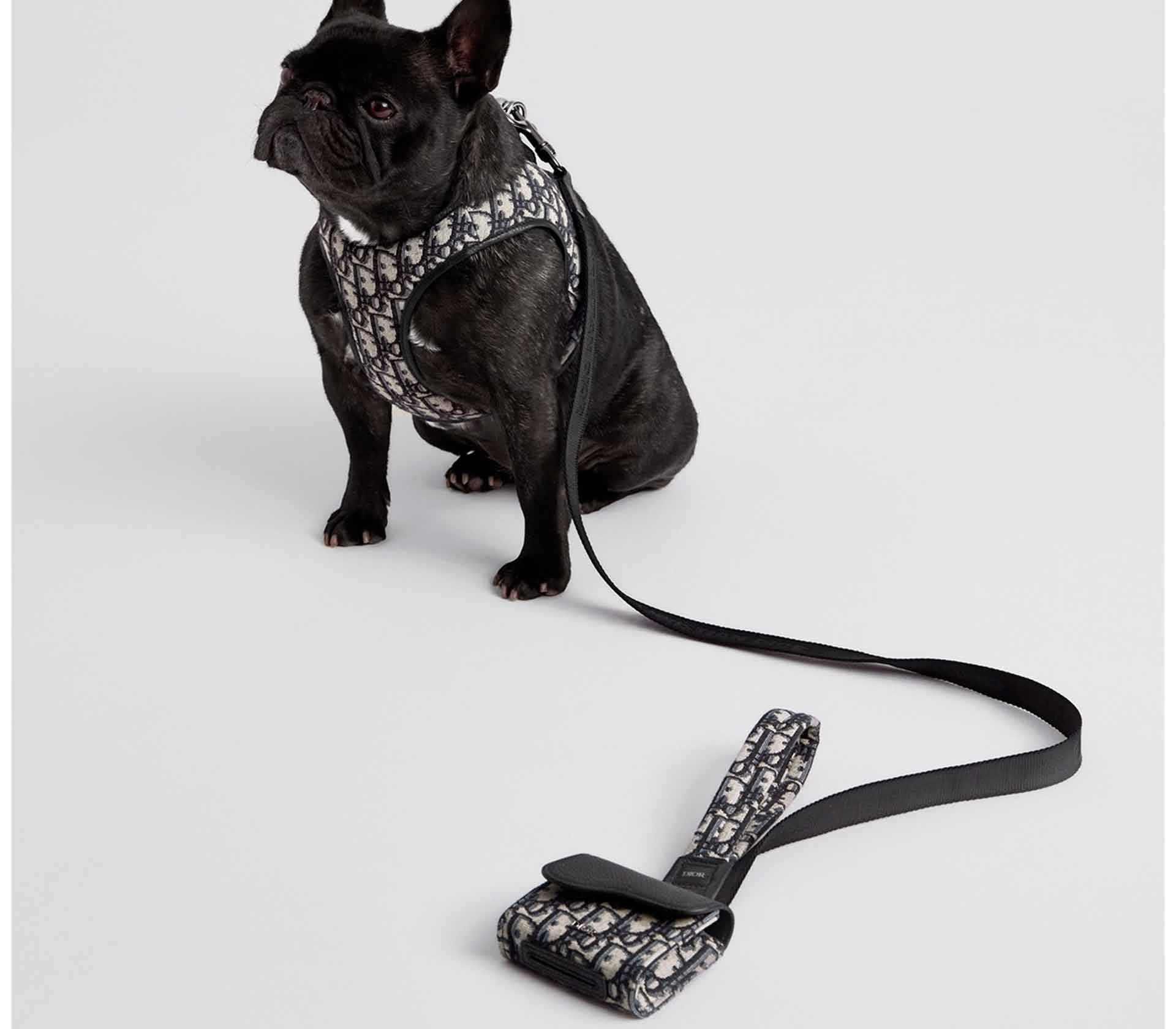 Coleira para Pet de Porte - S-M - Tradicional