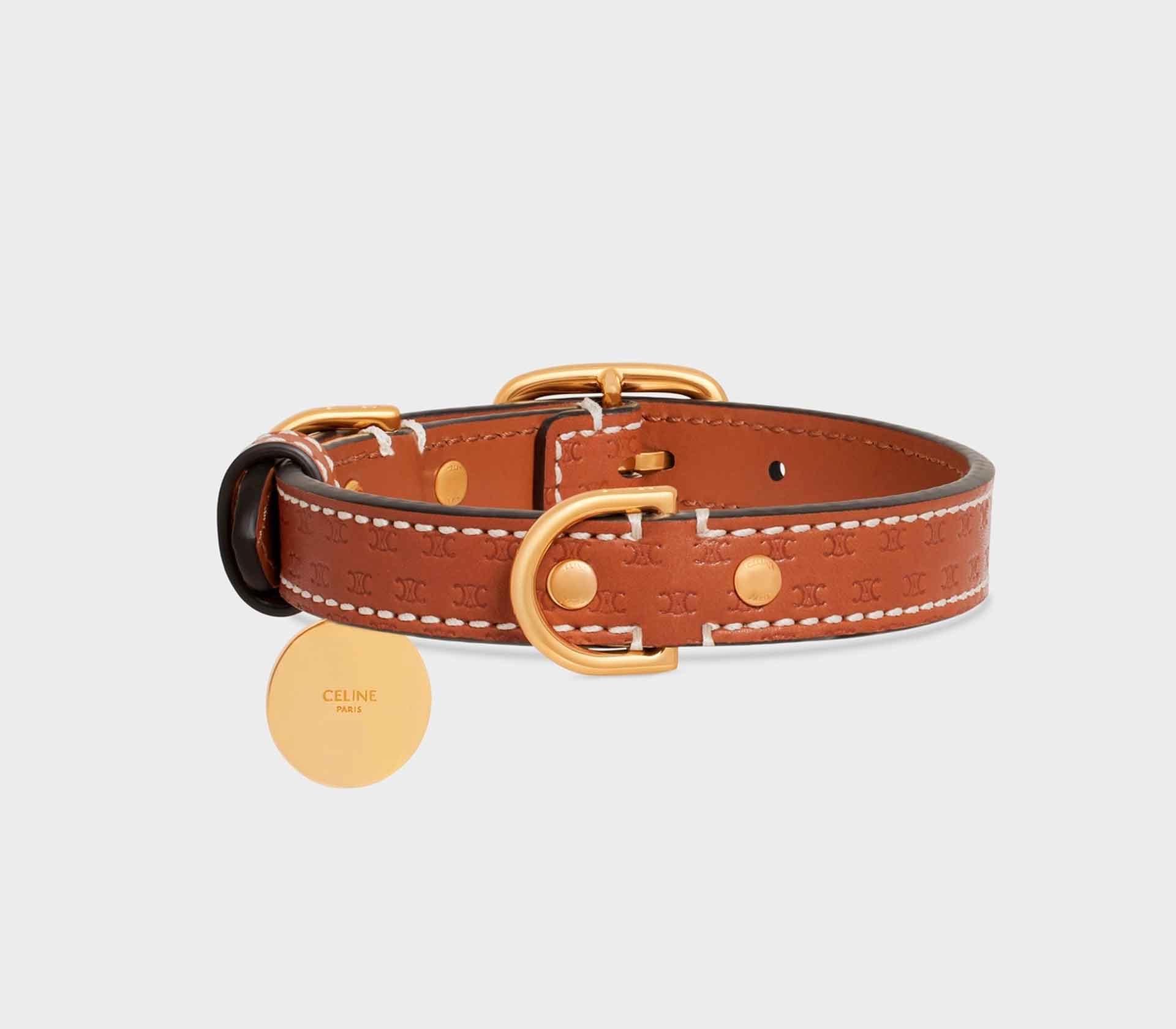 Coleira para Pet Rockstud Vermelho