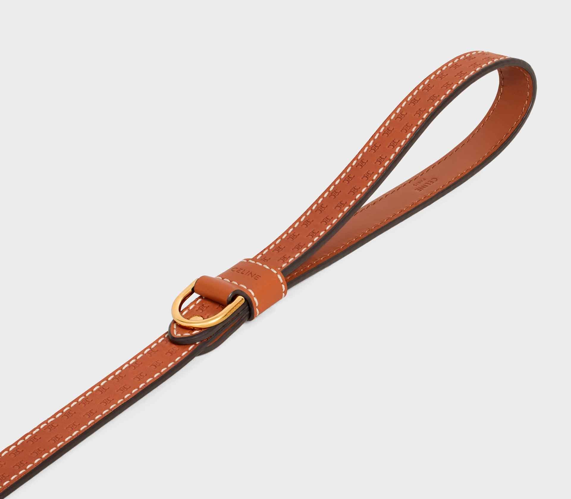Coleira para Pet de Porte - S-M - Tradicional