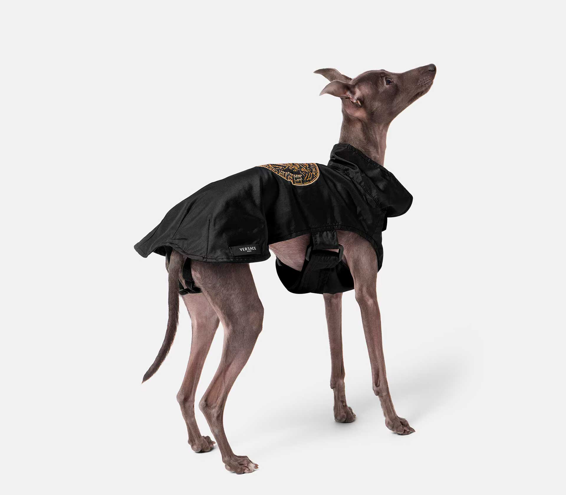 Roupa para Pet Sellier