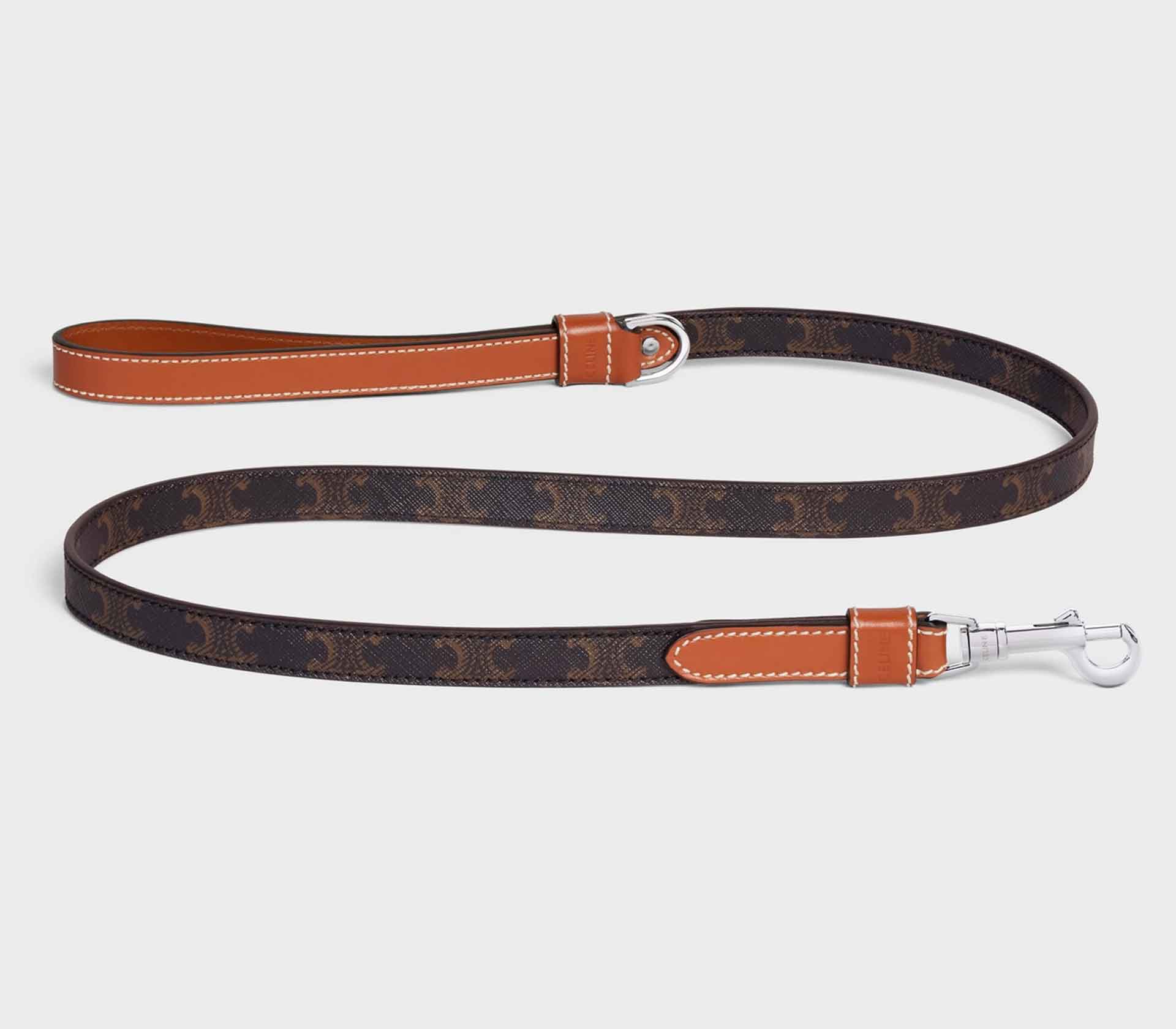 Guia de Coleira para Pet The Ox