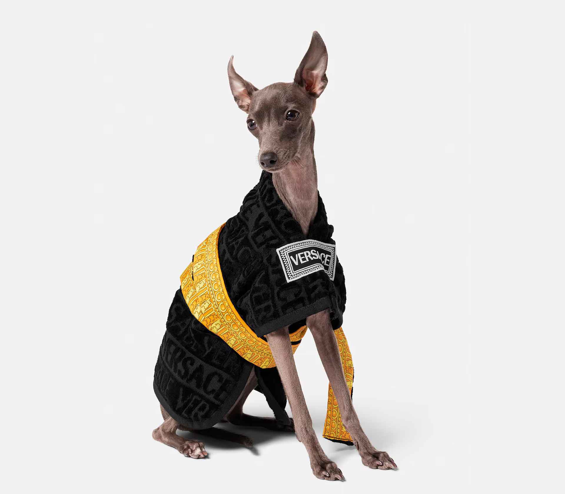 Roupa para Pet Raincoat Sellier Paris