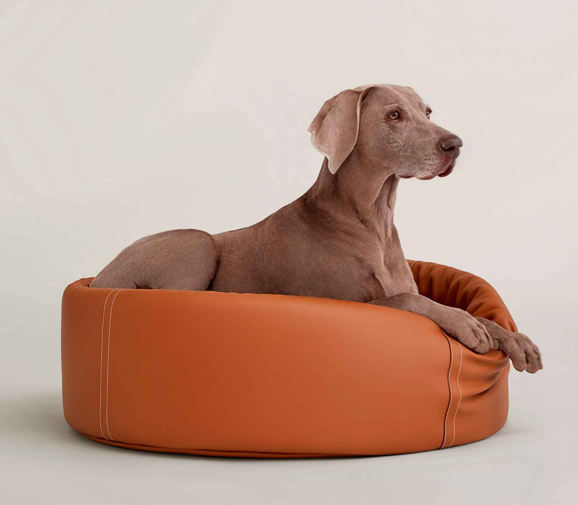 Cama para Pet Basket