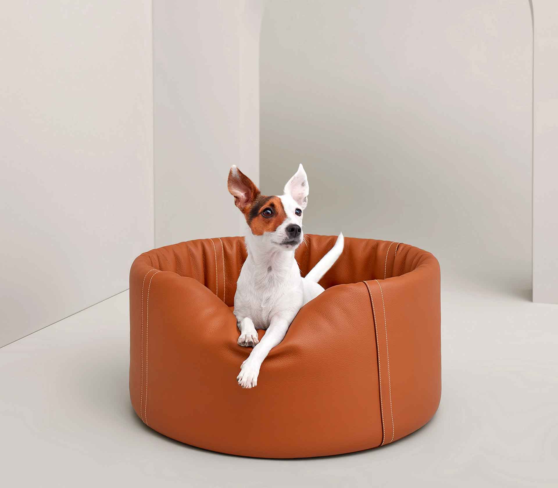 Cama para Pet em Nylon - Grande