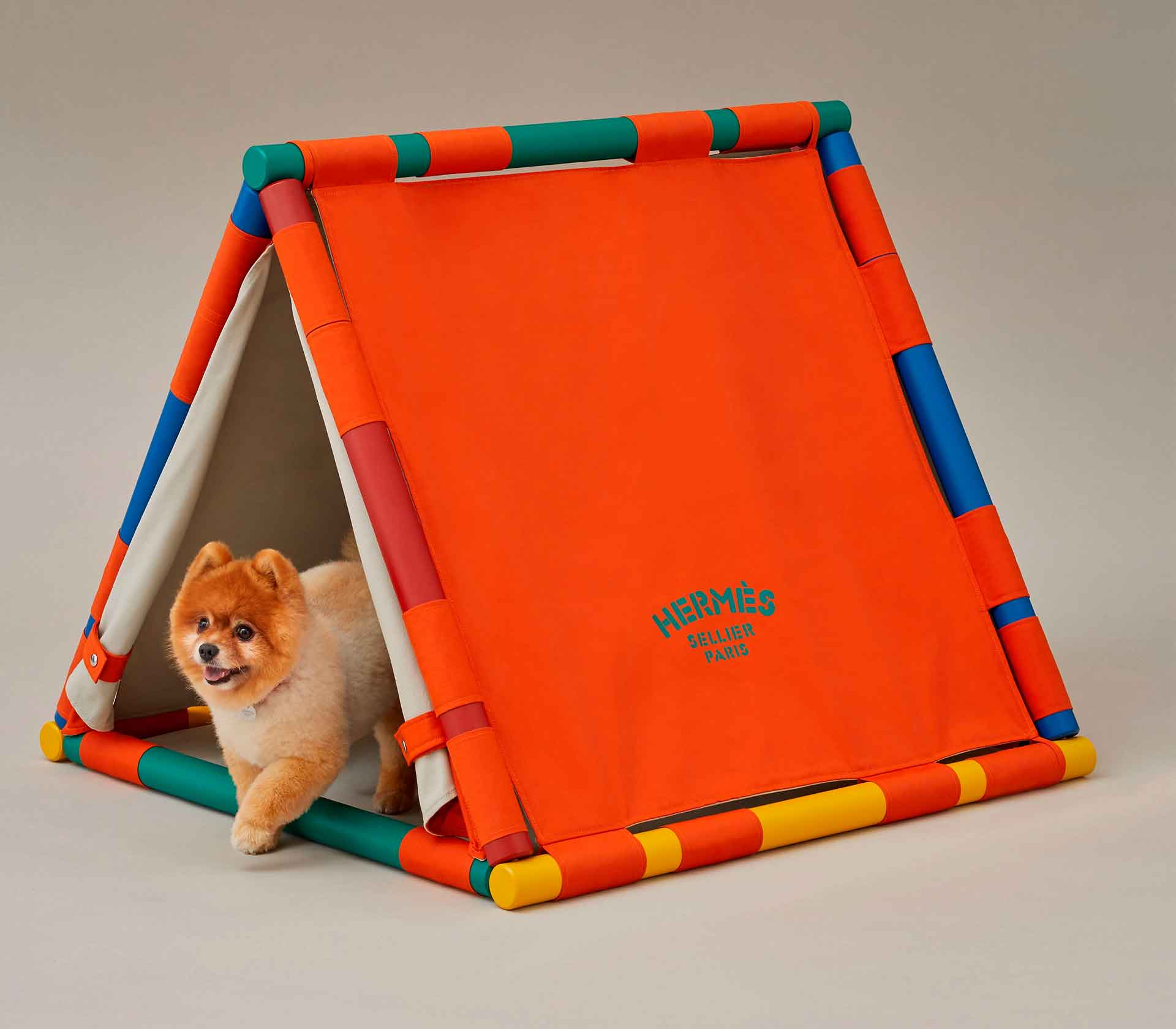 Cama para Pet Casinha Cavaletti