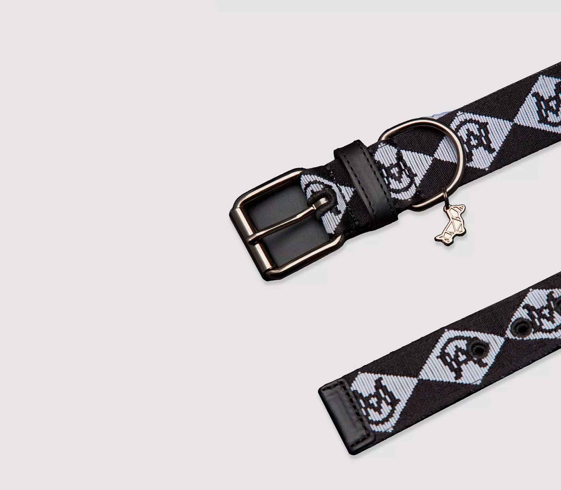 Coleira para Pet de Pequeno Porte - XS - Pregos