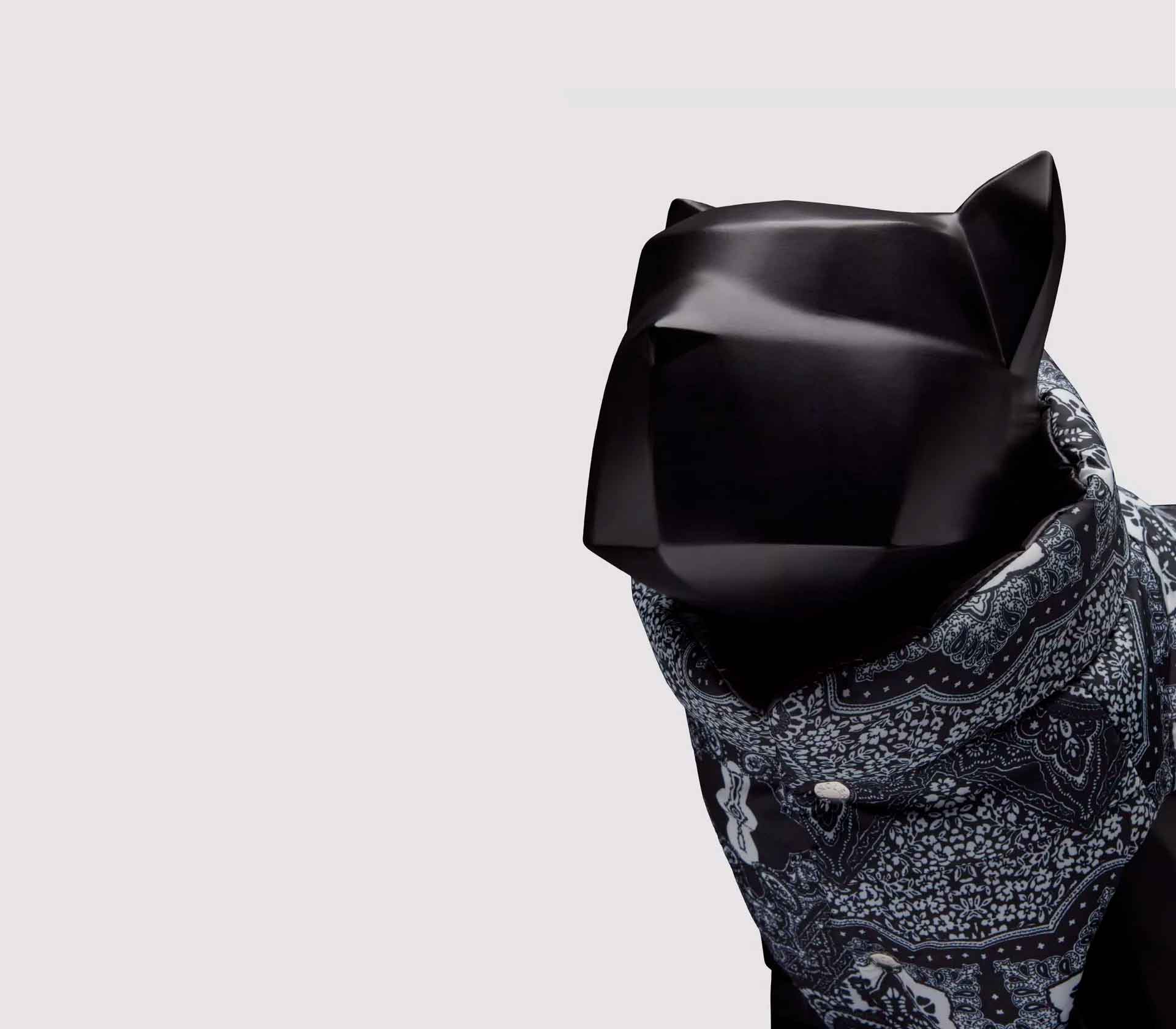 Roupa para Pet Raincoat Sellier Paris