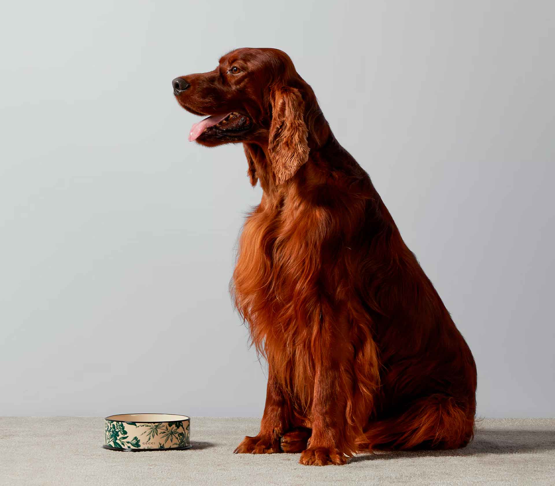 Tigela em Porcelana com Estampa de Herbário - Verde