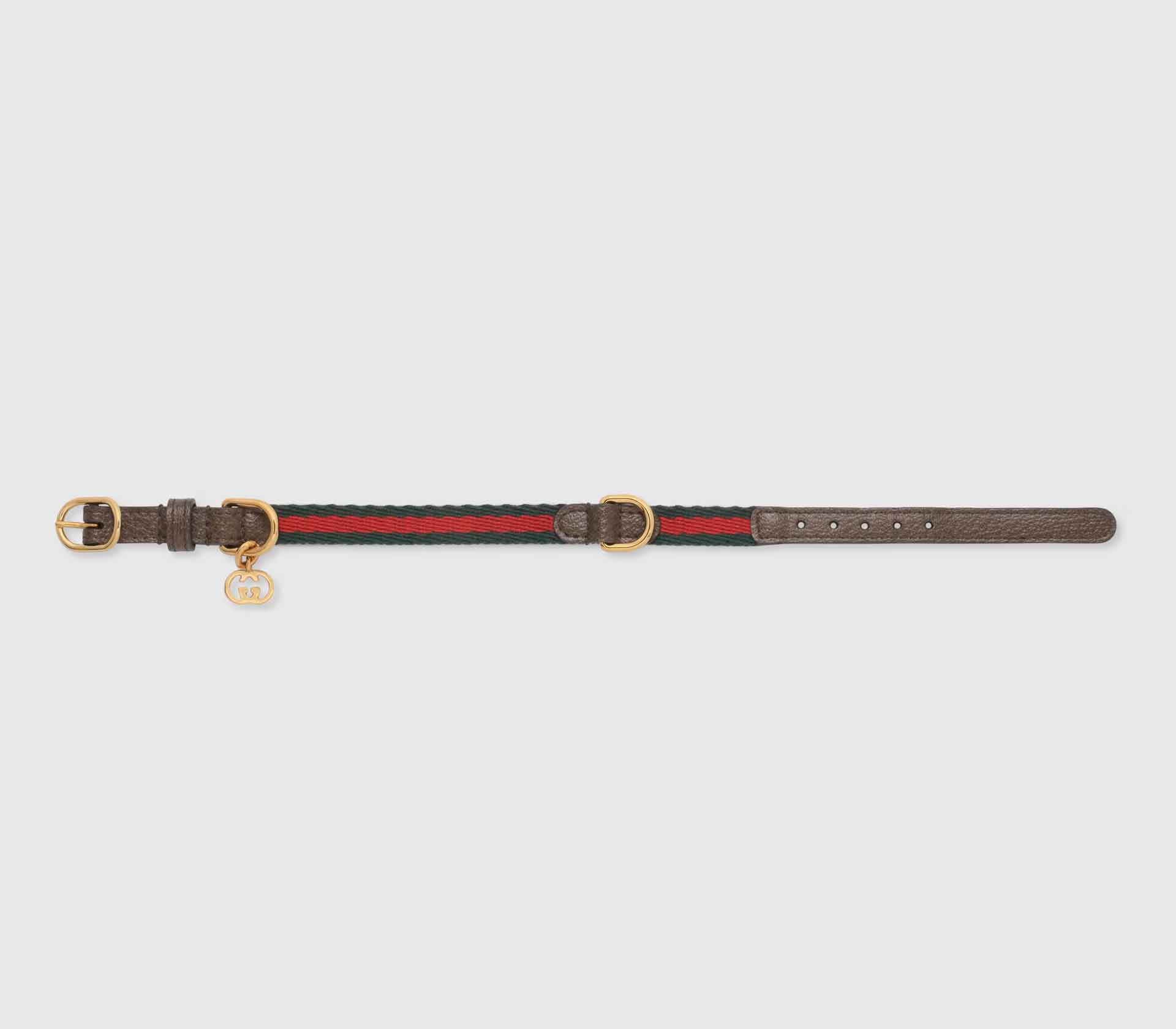 Guia de Coleira para Pet Dupla Harness Verde Claro