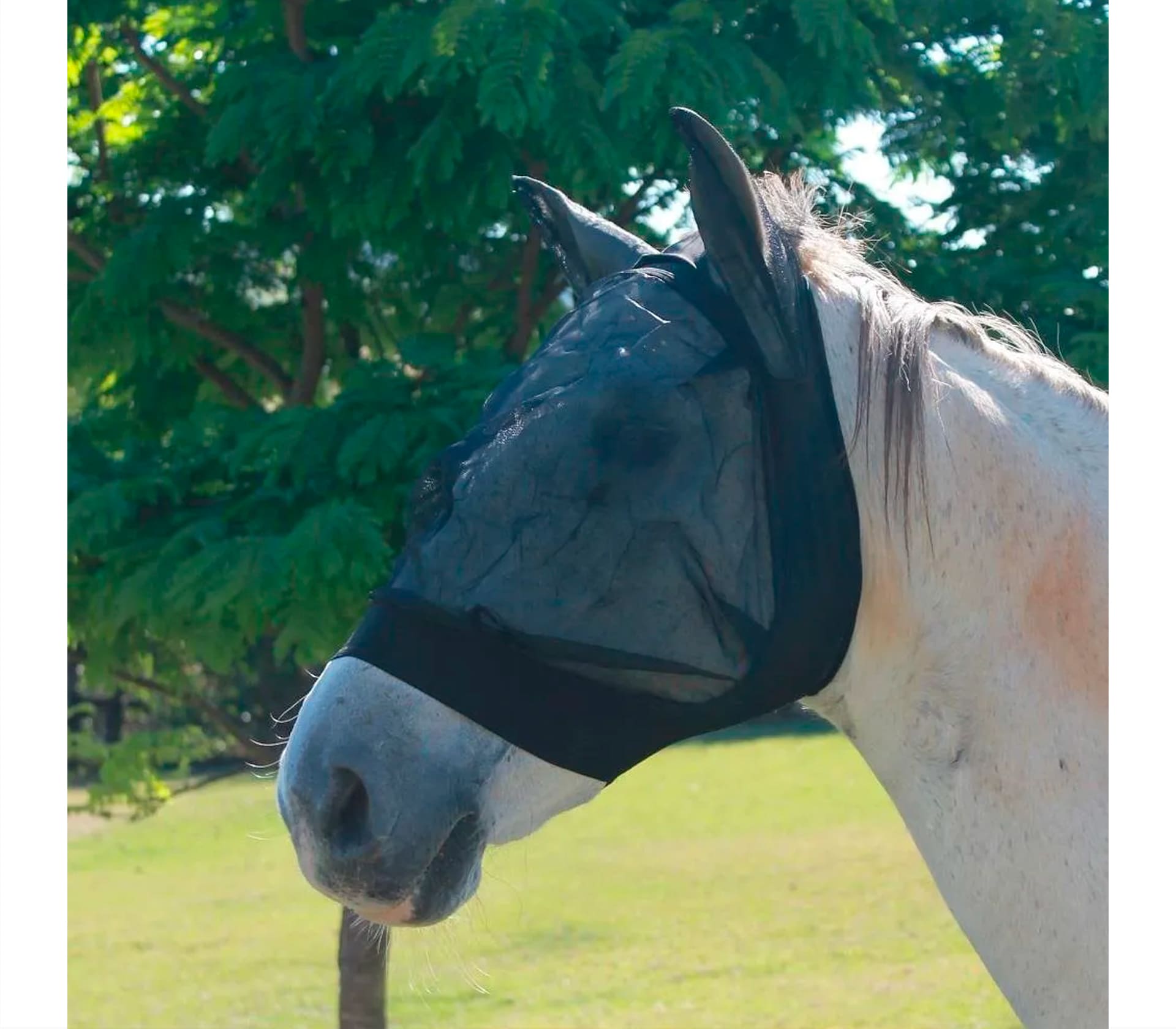 Mascara Anti Mosca para Cavalo Preta