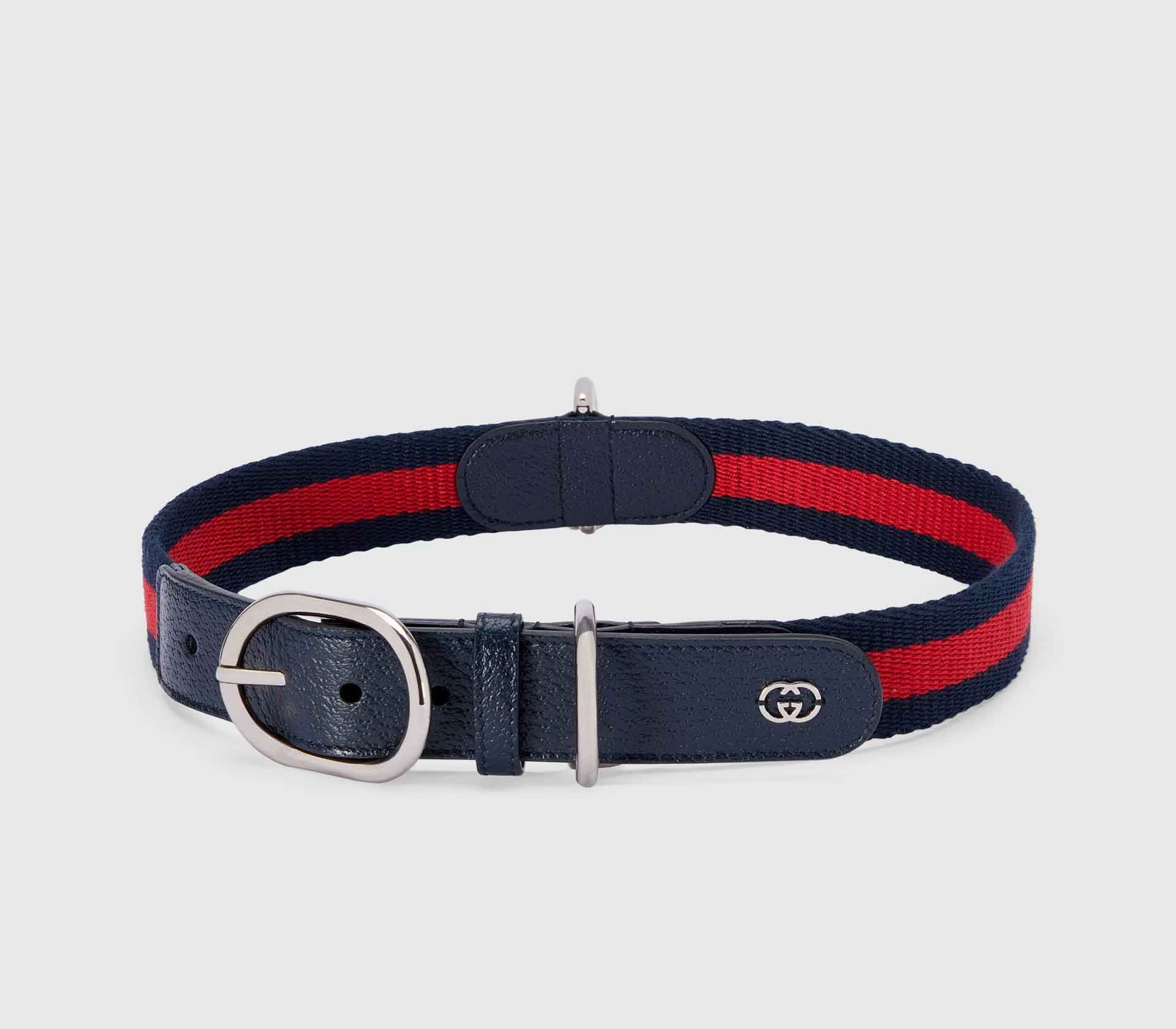 Coleira para Pet em Couro - Harness