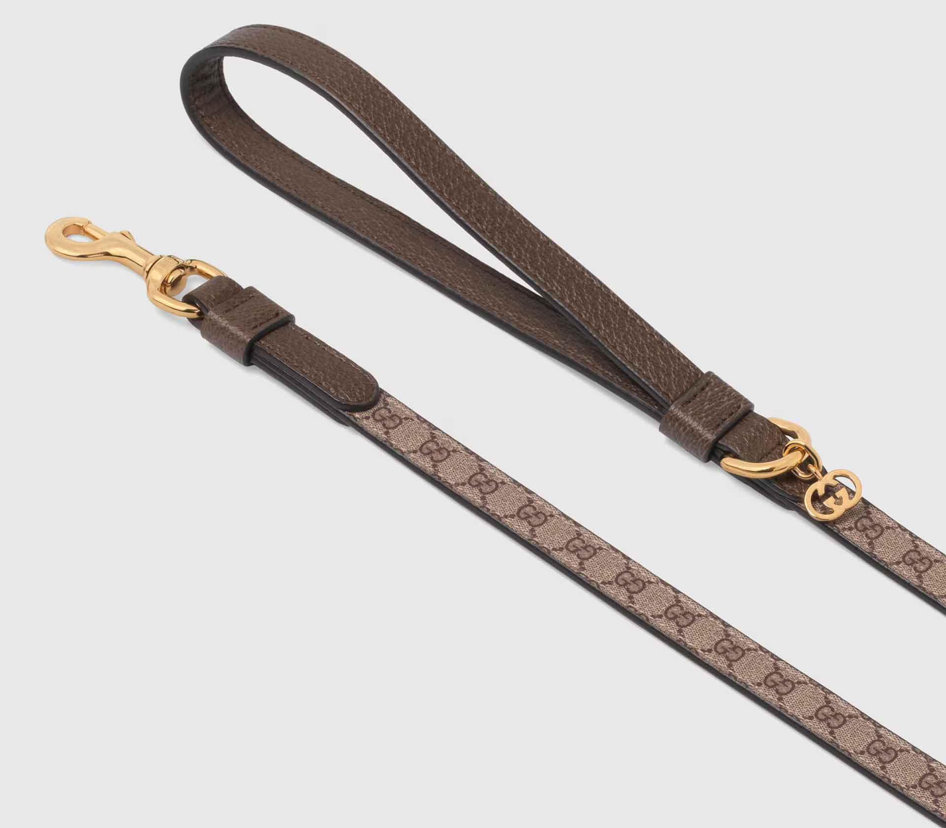 Coleira para Pet de Porte - L-XL - Tradicional