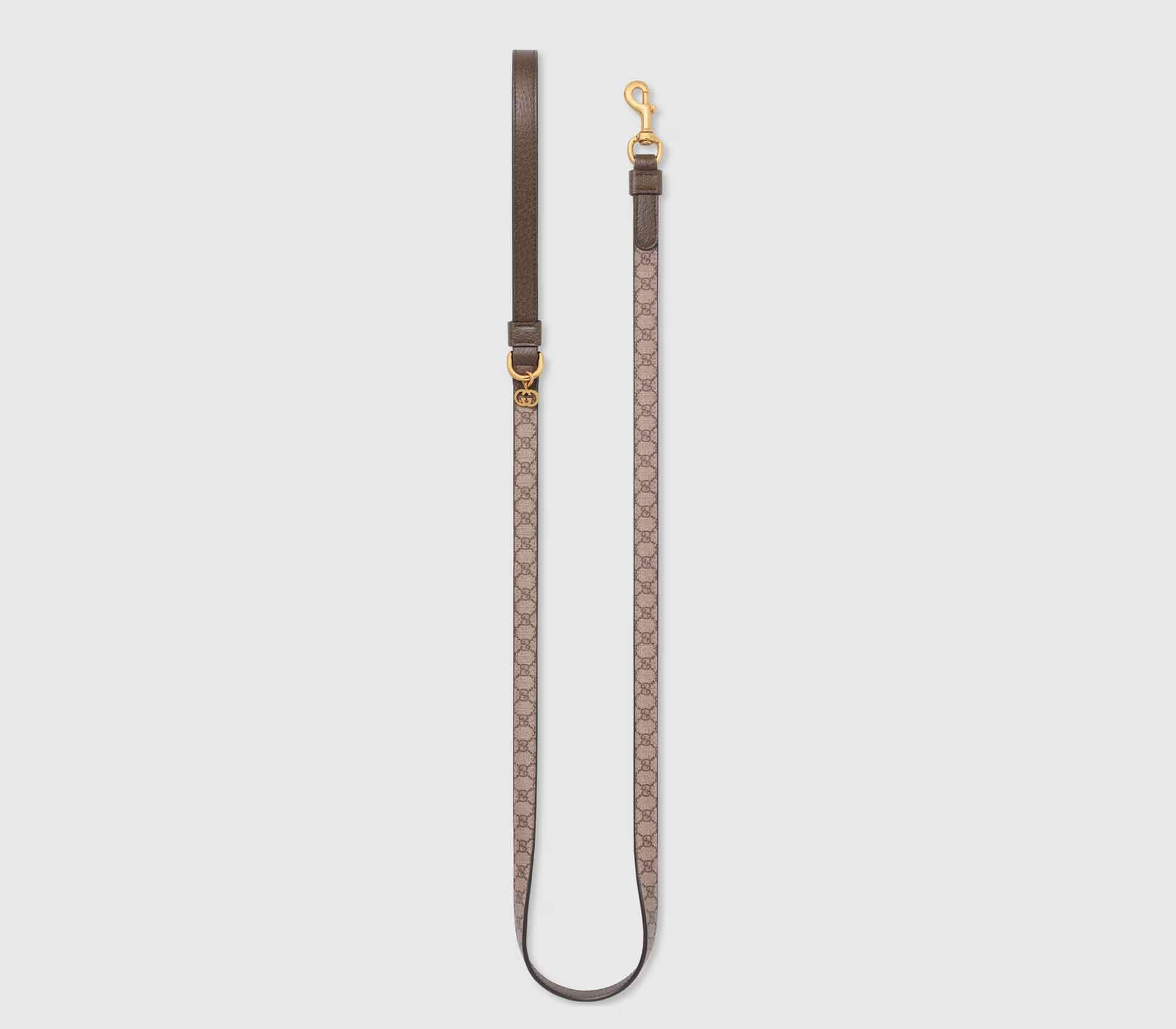Coleira para Pet de Porte - L-XL - Tradicional