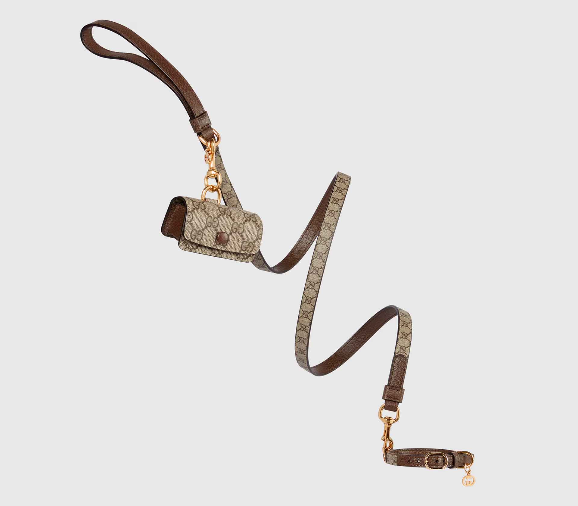 Coleira para Pet de Porte - L-XL - Tradicional