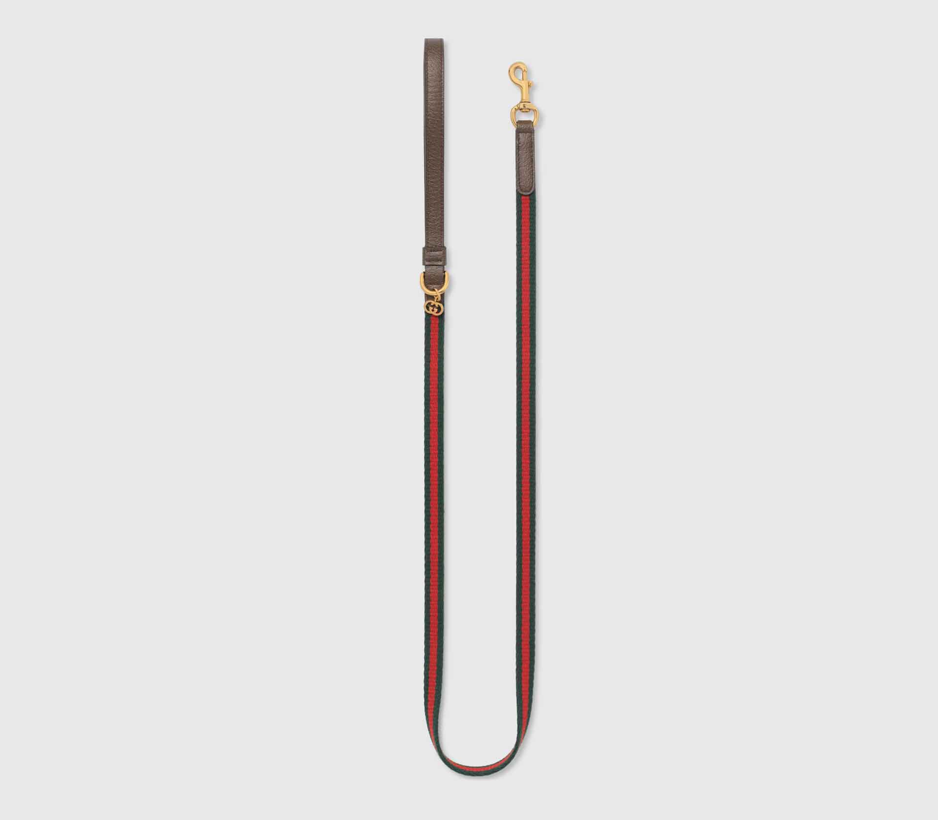 Coleira para Pet Medor Paille II