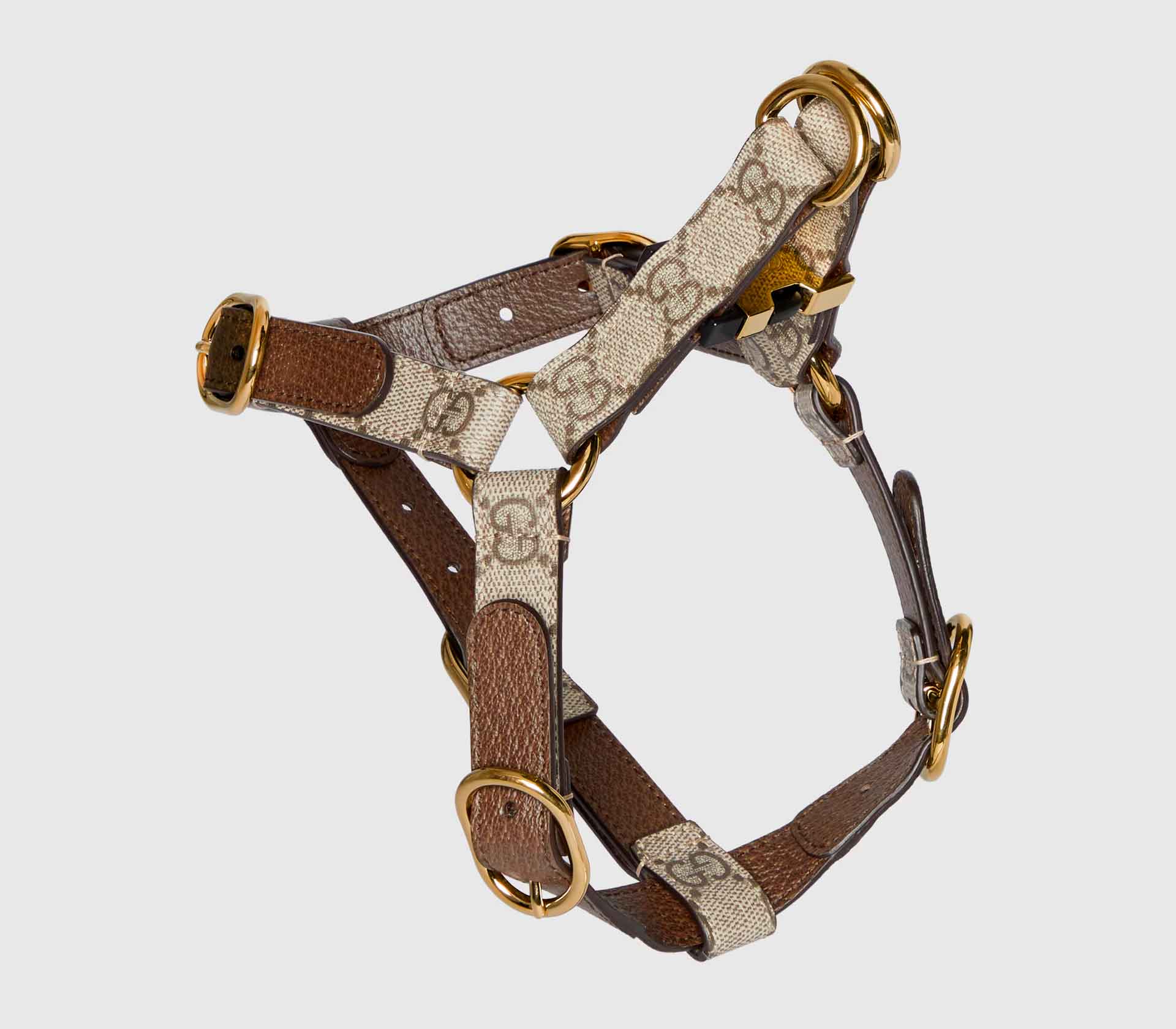 Coleira para Pet Strass - Nano