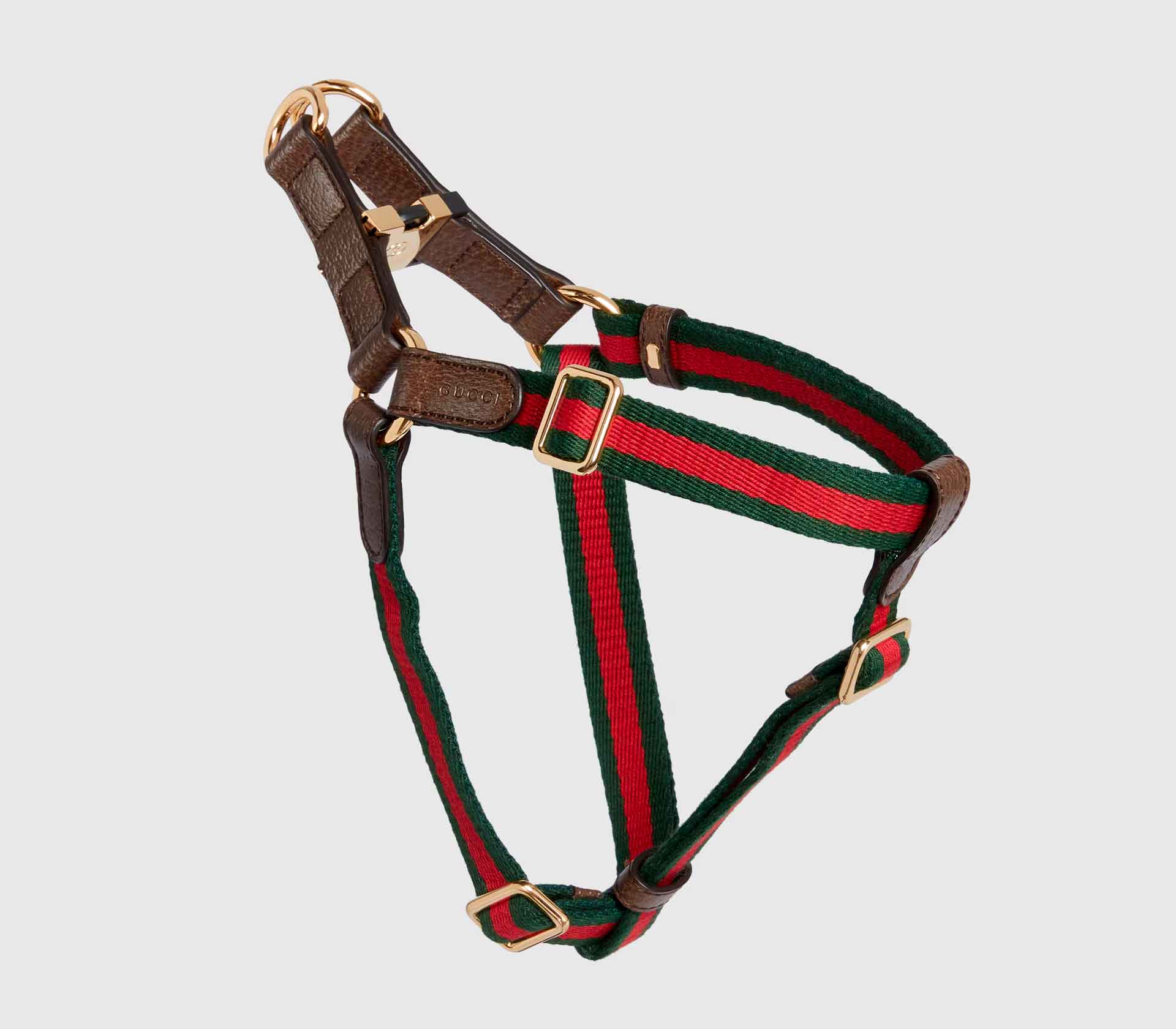 Guia de Coleira para Pet Dupla Harness Edicao Especial Bege