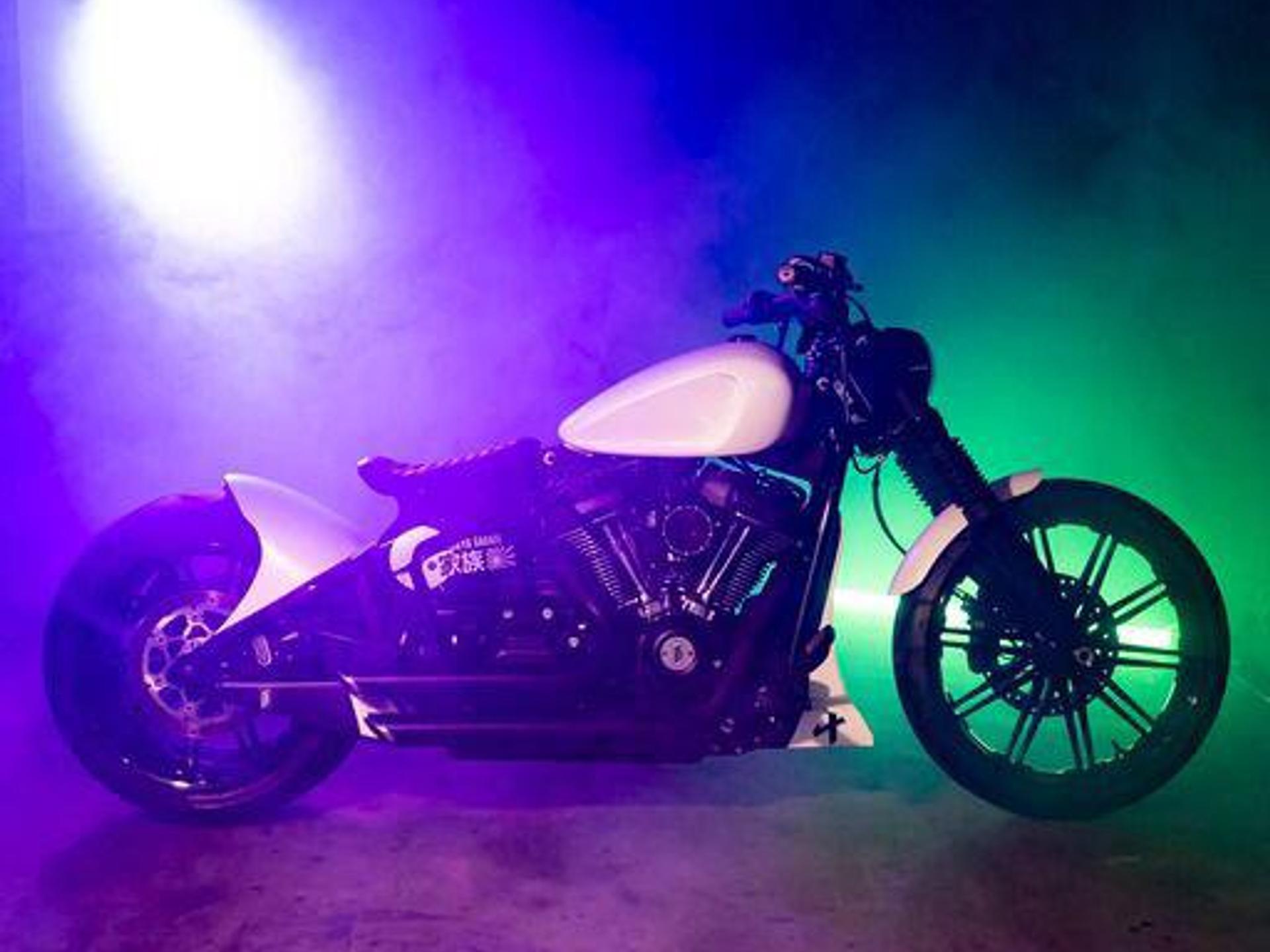 HARLEY DAVIDSON - Softail Custom