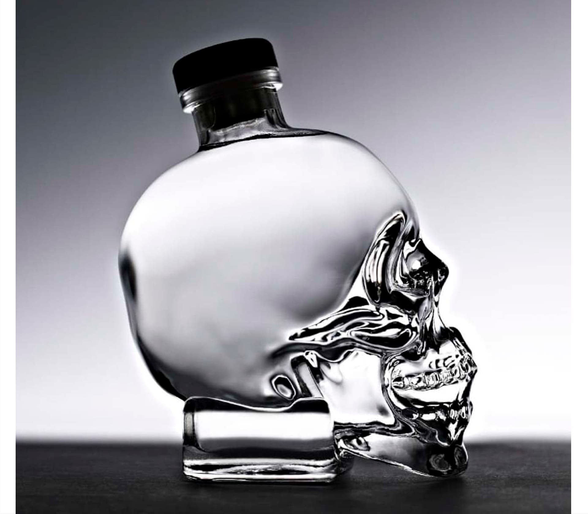 Goose VX