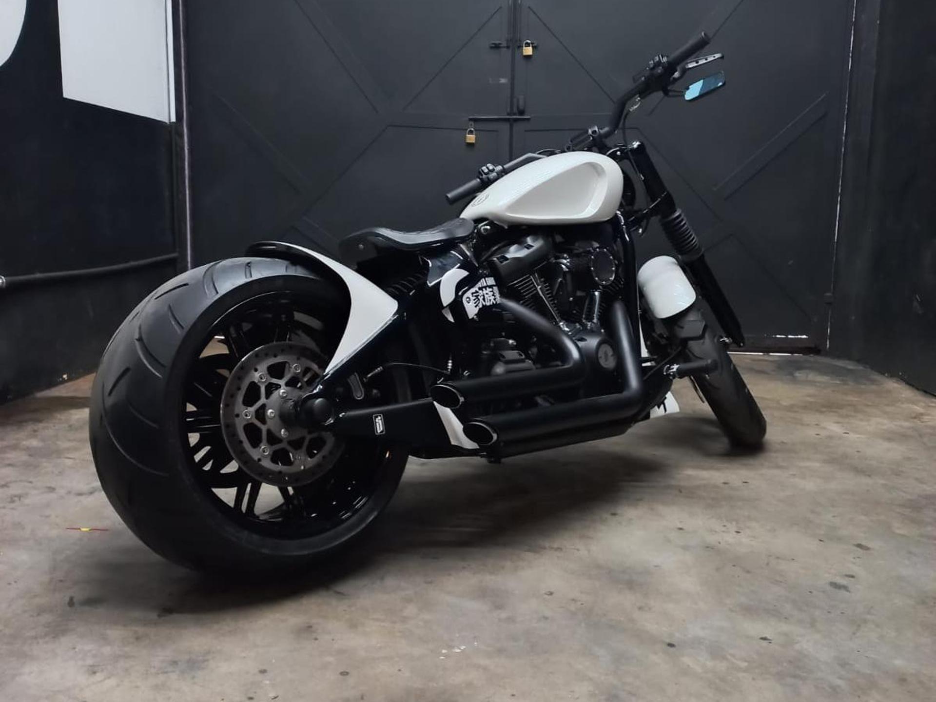 HARLEY DAVIDSON - Softail Custom