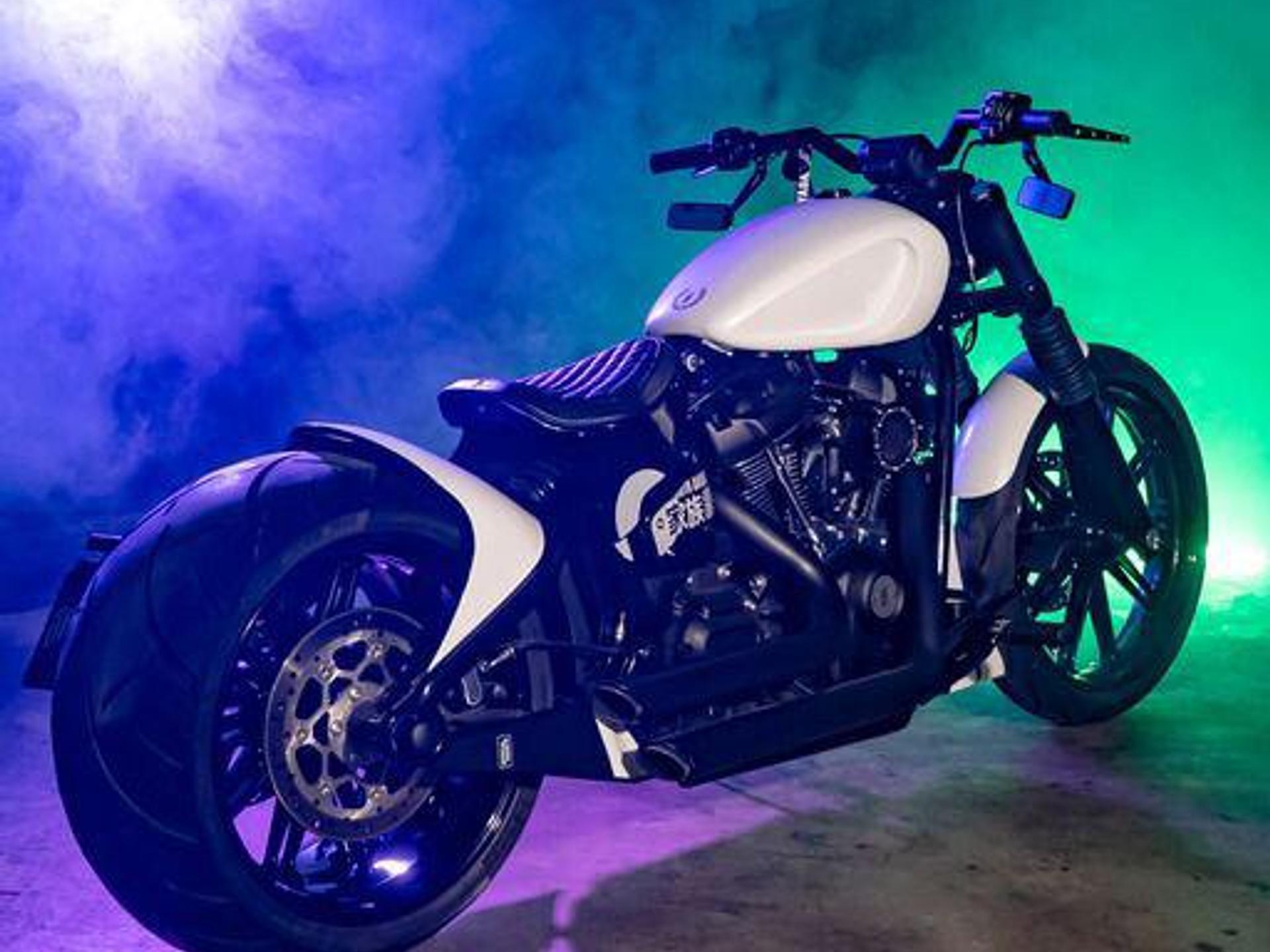 HARLEY DAVIDSON - Softail Custom