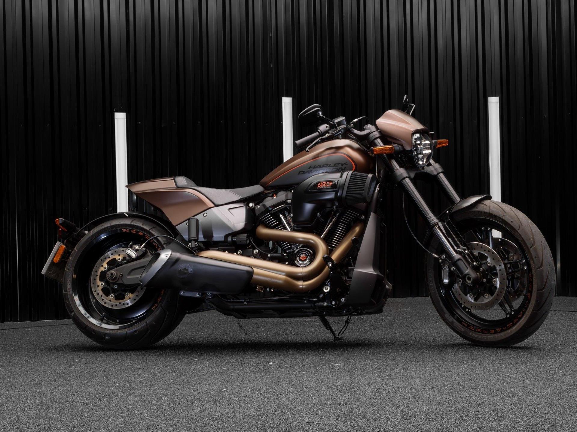 HARLEY DAVIDSON - Softail Custom