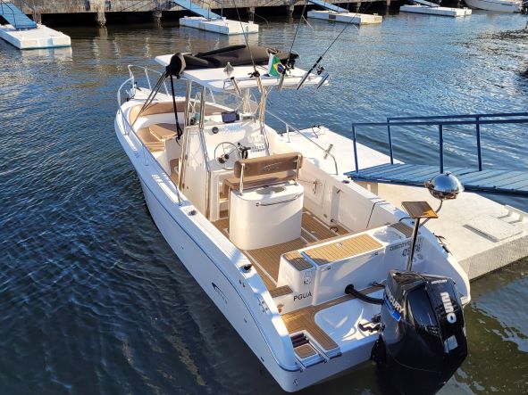 Fishing Raptor - Fishing 260 Open